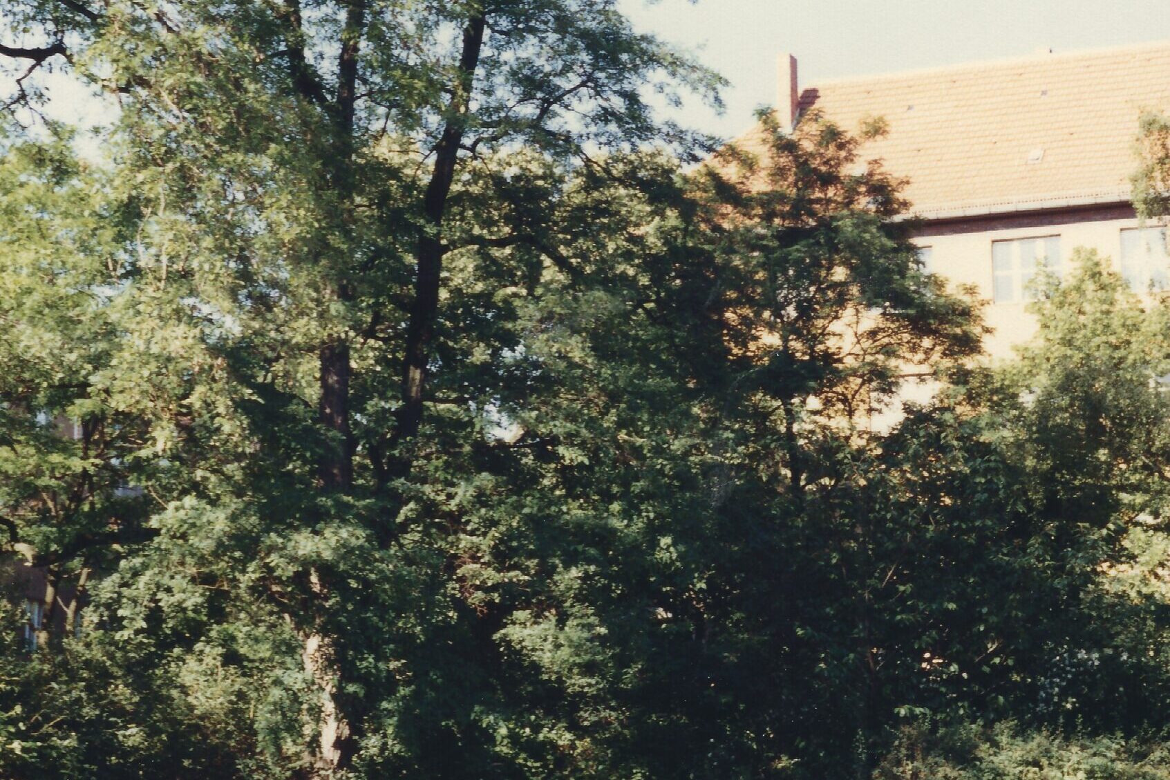 1988-06-12 KueKoFest LudwigBarnayPlatz-23