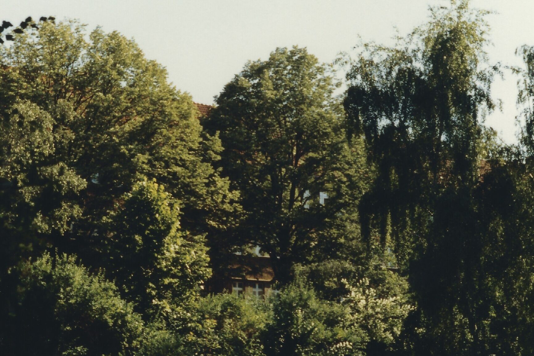 1988-06-12 KueKoFest LudwigBarnayPlatz-24
